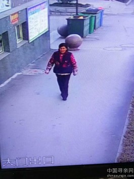 失踪人员：寻找丢失老人