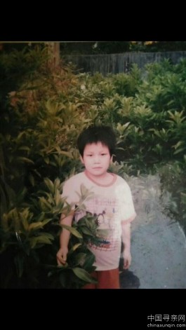 失踪人员：寻找我姐姐