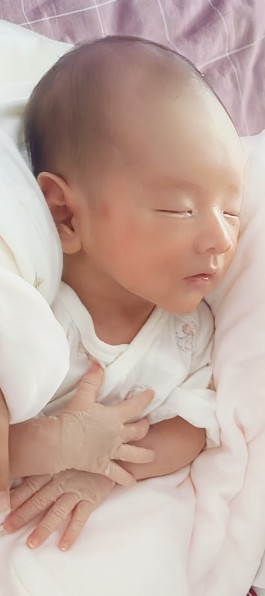 寻亲：刘鸿宇